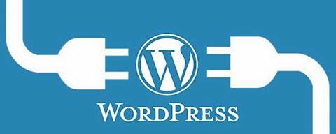 Profitable WordPress